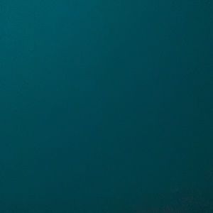 Meet your Posher, Jackson